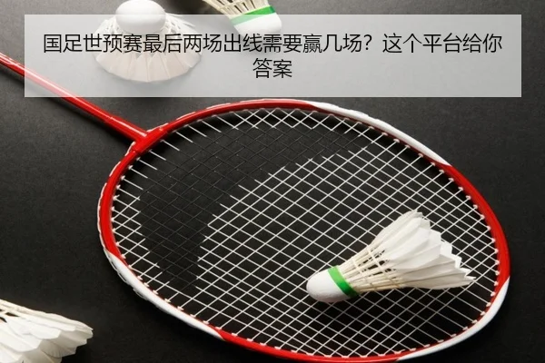 国足世预赛最后两场出线需要赢几场？这个平台给你答案
